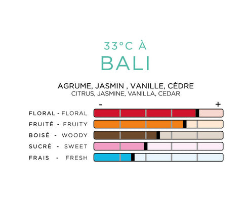 Imao BALI <br> Air Freshener <br> Full Set