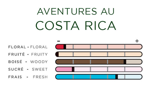 Scented Card Imao COSTA RICA <br> Air Freshener <br> Car Fragrance