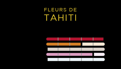 Spray Imao TAHITI <br> Air Freshener <br> Car Fragrance