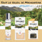 Imao MADAGASCAR <br> Air Freshener <br> Full Set