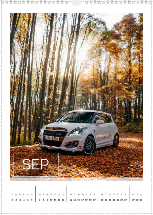 2026 Swift Calendar <br> Mixed Models <br> A3 Wall