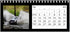 2026 Swift Calendar <br> Mixed Models <br> Desk Calendar
