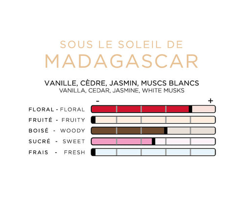 Diffuser Imao MADAGASCAR <br> Air Freshener <br> Car Fragrance